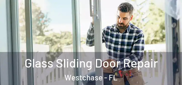 Glass Sliding Door Repair Westchase - FL
