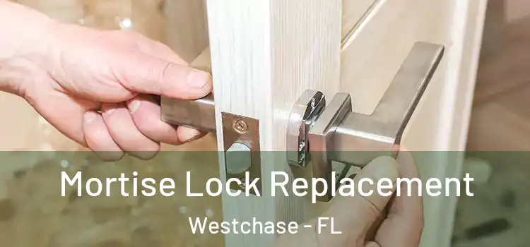 Mortise Lock Replacement Westchase - FL