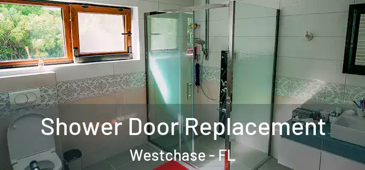 Shower Door Replacement Westchase - FL