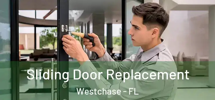 Sliding Door Replacement Westchase - FL