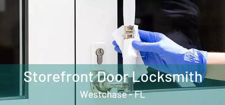 Storefront Door Locksmith Westchase - FL